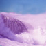 purple ocean
