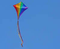 Rainbow kite