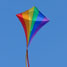 Rainbow kite