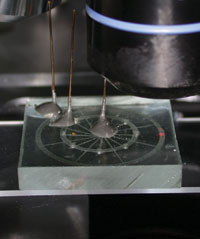 Reactor-analyser