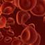 Red blood cells