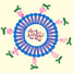 RNAi