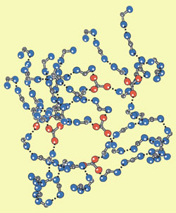Schematic view of the rubber like material showing hydrogen bonds