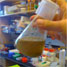 Yeast