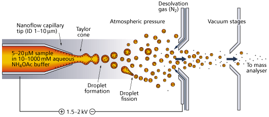 Electrospray ionisation