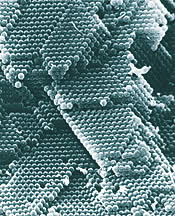 Sediment