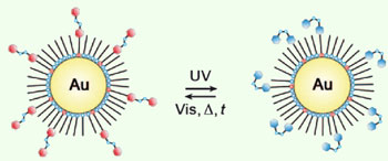 UV light causes the structural symmetry of the azobenzene molecules to flip