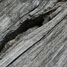 Shale