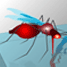 The disease-carrying mosquito