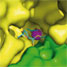 Enzyme active site