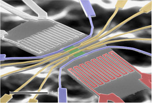 Silicon nanowire array