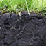 Soil cross-section