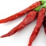chillis