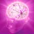Neurons in a brain