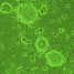 Stem cells image