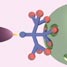 Dendritic glue