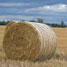 RSC response to the Royal Society call for evidence on biofuels