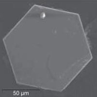SEM image of a typical crystal of KMS-1