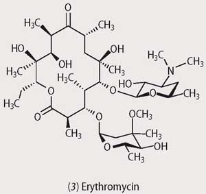 Erythromycin
