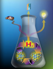 Hydrogen storage and material regeneration