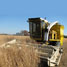 Harvest
