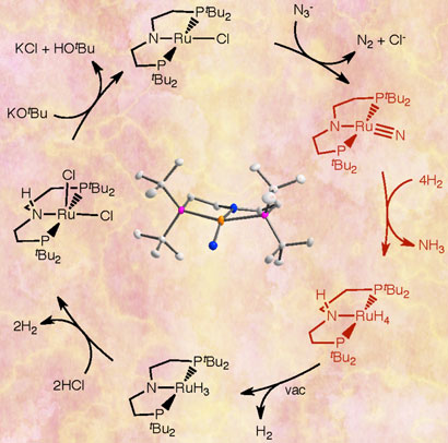 Synthetic cycle