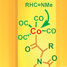 Cobalt catalyst makes peptides