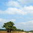 Atmospheric particles