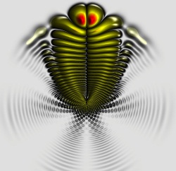 Trilobite molecule electron density map