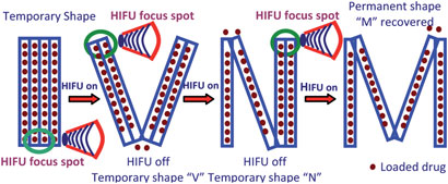 Schematic of the polymer changing shape and drug release