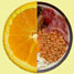 Orange with fry up
