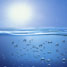 Splitting water with sunlight