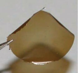Graphene oxide