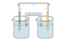 Electrode potentials