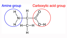 Frameworks and functional groups (2)