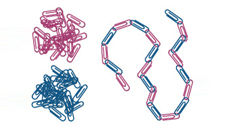 Developing synthetic materials: polymers...