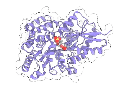 Biosulfur Recyclers