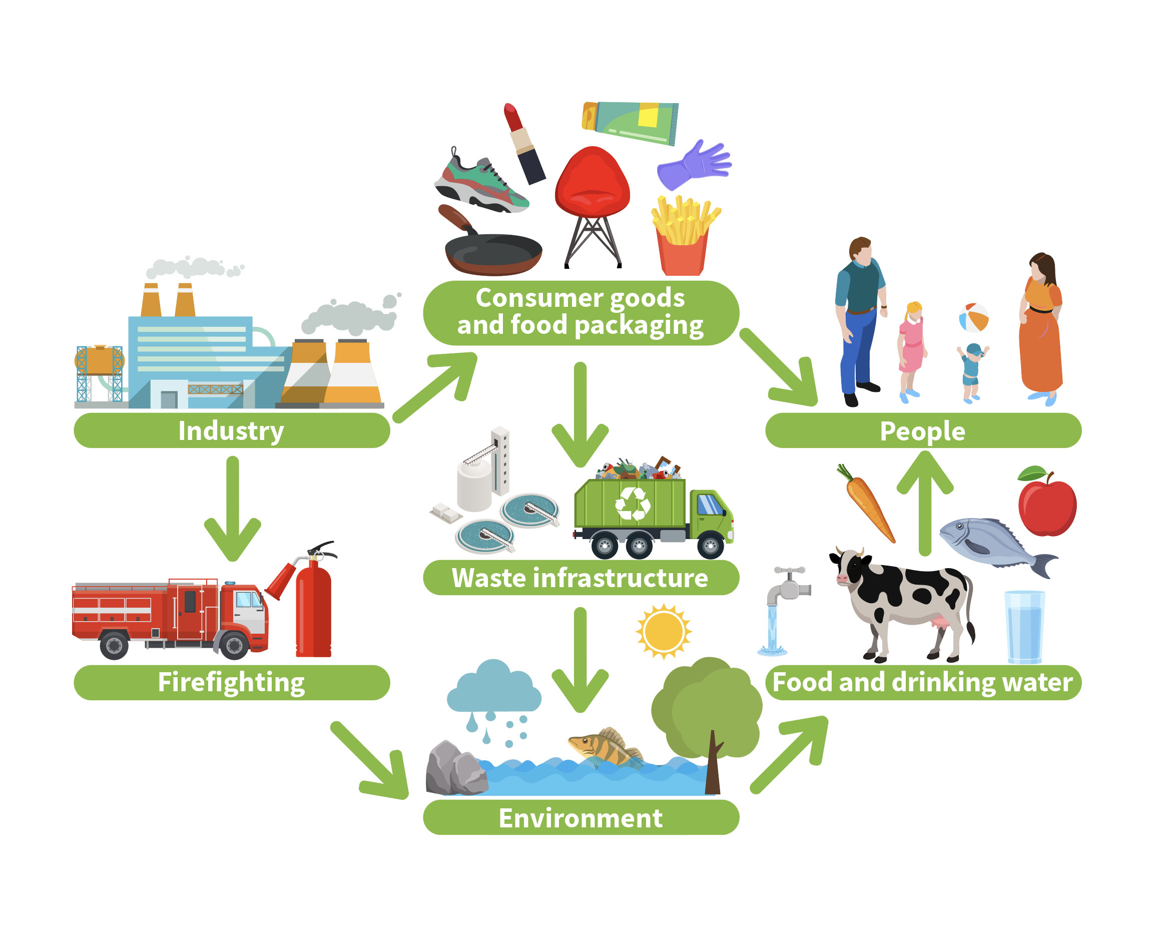 This graphic shows the flow of PFAS from their formation through their useful life and eventually into the human body. Starting in the top left is industry, represented by an illustration of a chemical plant. From here, PFAS are used in firefighting materials, namely the foam used in fire engines and extinguishers, both of which are pictured at the bottom of the left-hand column. PFAS also go into consumer goods and food packaging, which is at the top of the second column and represented by a trainer, a pan, a glove, a chair, a lipstick and a chip container. From consumer goods, PFAS then travel through waste infrastructure, visually represented by a water treatment plant and a bin wagon in the middle of the second column. Firefighting run-off and water infrastructure discharge then go into the environment, which is shown at the bottom of the second column with a water course and a fish. The PFAS then go into food and drinking water, which are represented at the bottom of the third column with a cow, apple, fish, carrot and glass of water. From here, they go into people, which are located at the top of the third column. This graphic shows the flow of PFAS from their formation through their useful life and eventually into the human body. Starting in the top left is industry, represented by an illustration of a chemical plant. From here, PFAS are used in firefighting materials, namely the foam used in fire engines and extinguishers, both of which are pictured at the bottom of the left-hand column. PFAS also go into consumer goods and food packaging, which is at the top of the second column and represented by a trainer, a pan, a glove, a chair, a lipstick and a chip container. From consumer goods, PFAS then travel through waste infrastructure, visually represented by a water treatment plant and a bin wagon in the middle of the second column. Firefighting run-off and water infrastructure discharge then go into the environment, which is shown at the bottom of the second column with a water course and a fish. The PFAS then go into food and drinking water, which are represented at the bottom of the third column with a cow, apple, fish, carrot and glass of water. From here, they go into people, which are located at the top of the third column.
