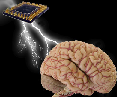 Chip to analyse changes in the brain Chip to analyse changes in the brain