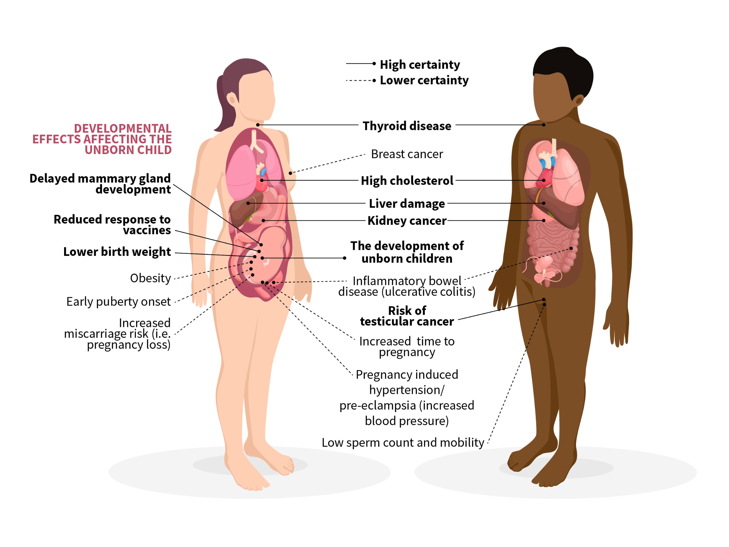 Effects of PFAS on human health
