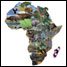 Africa