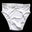 Briefs