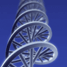 DNA
