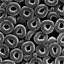 SEM image of micro-doughnuts