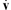 [v with combining dot above]