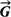 [G with combining right harpoon above (vector)]
