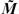 [M with combining tilde]