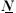 [N with combining low line]