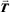 [T with combining right harpoon above (vector)]
