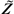 [Z with combining tilde]
